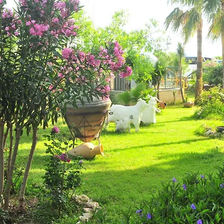 Asrin Hotel Turkler