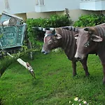 Asrin 4* Alanya